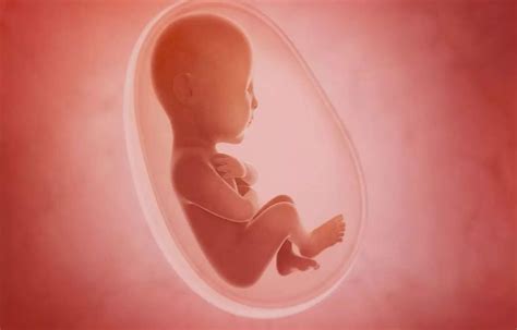Fetuses react to smell and taste in womb reveal four-dimensional ...