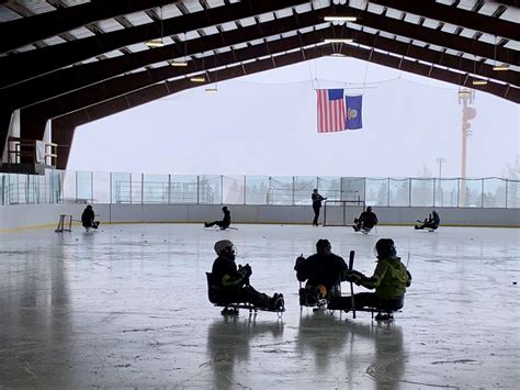 Types of Hockey 的图像结果