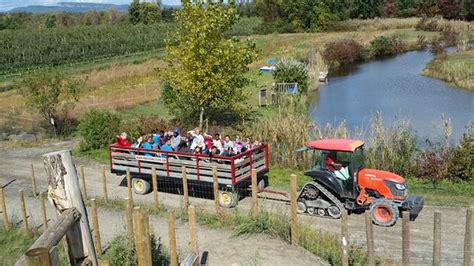 Fun on the farm! - Reviews, Photos - Hurd's Family Farm - Tripadvisor