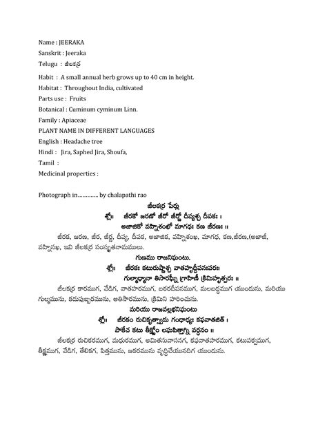 JEERAKA-HISTORY OF AYURVEDA | Ayurvedic Medicinal Plants