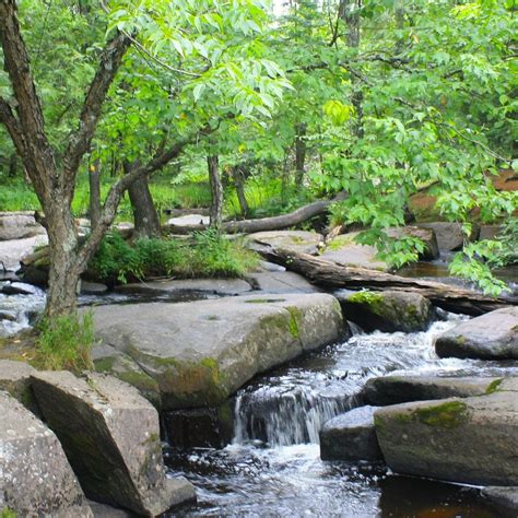Goodman Park - 2022 What to Know Before You Go (with Photos) - Tripadvisor