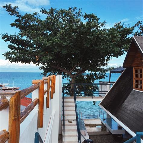 MOALBOAL SHAKA WATER SPORTS AND RESORT (Cebu Island) - Hostel Reviews ...