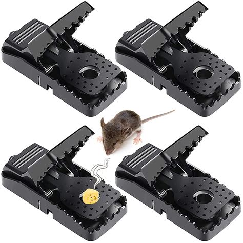 Buy THE WHITE SHOP Mouse Traps, Mice Traps for House, Small Mice Trap ...
