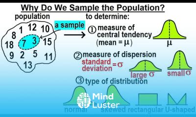 Image result for How Do You Find Variability