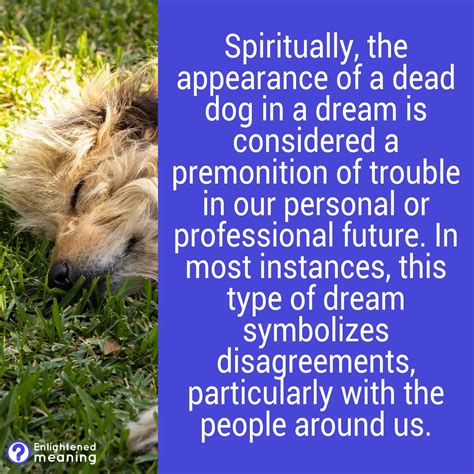 Dream of a Dog Dying: 8 Spiritual Meanings and Symbolism - Enlightened ...
