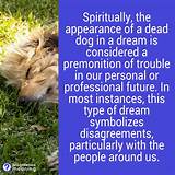 Dream of a Dog Dying: 8 Spiritual Meanings and Symbolism - Enlightened ...