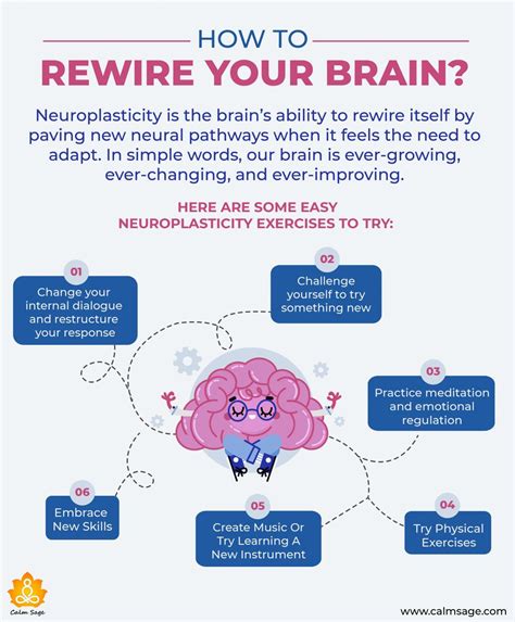 Rewire your brain infographic in 2025 | Neuroplasticity, Neuroplasticity exercises, Brain facts