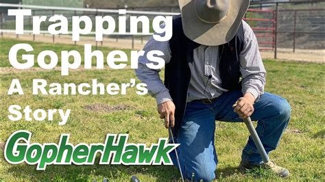 Image result for How to Use Gopherhawk