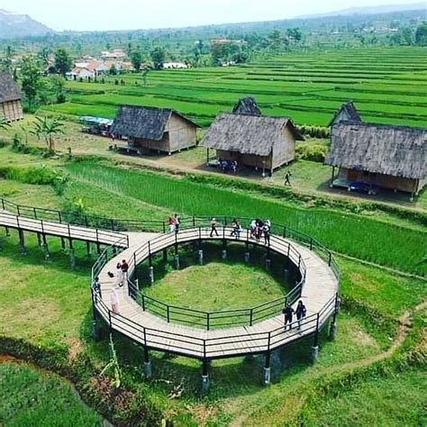 KAMPUNG BUDAYA PADI PANDAN WANGI (2026) All You Need to Know BEFORE You ...