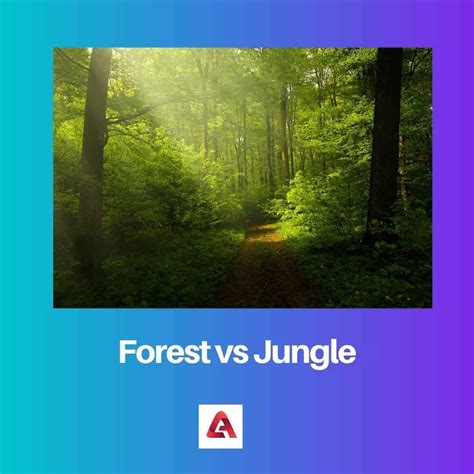 Difference Between Jungle And Forest And Woods at Adela Spooner blog