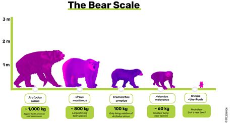 Giant Short-Faced Bears: 3.3-Meter-Tall Pleistocene Predators Were The ...