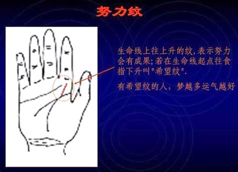 指纹吉凶算命,指纹手相与人生 - 世纪算命网