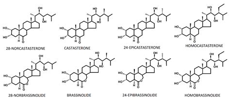 Brassinosteroids and the Tolerance of Cereals to Low and High ...
