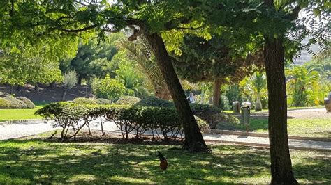 PARQUE DE LA PALOMA - All You Need to Know BEFORE You Go 2026 (with ...