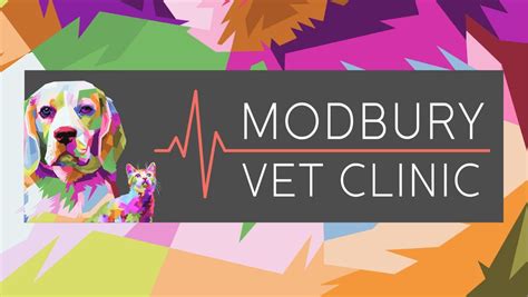 Puppy School , 32 Smart Road, Modbury, SA, Australia, South Australia ...