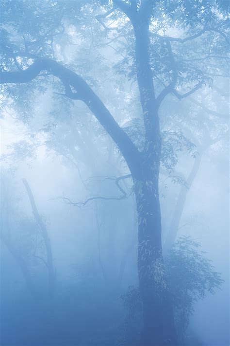 Best time to visit Matheran | Condé Nast Traveller India