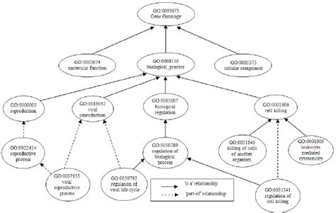 Image result for Example of Biological Process