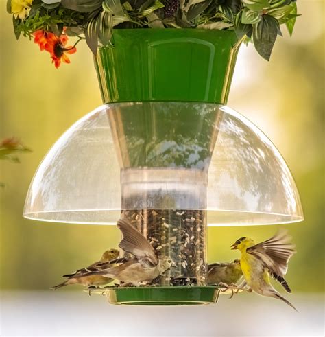 Squirrel Proof Bird Feeder-Outdoor Hanging-Weatherproof-All Season Feeder with Planter-Attracts ...