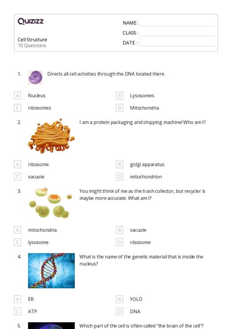 50+ structure of a cell worksheets for 9th Class on Quizizz | Free ...
