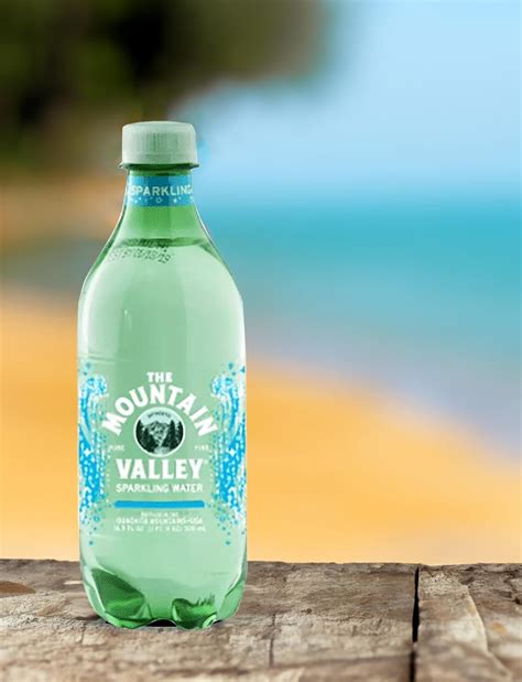 BLUE RIBBON Water Variety, Pack of 12, 6 Mountain India | Ubuy