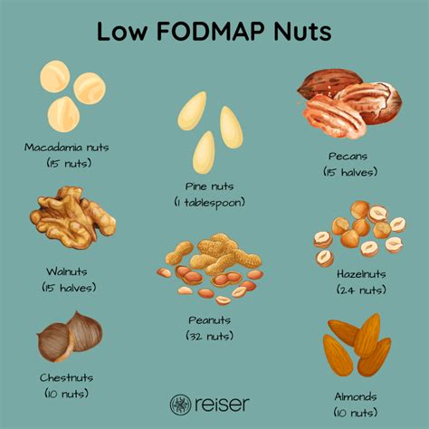 The Ultimate Guide to Low FODMAP Nuts - Keren Reiser