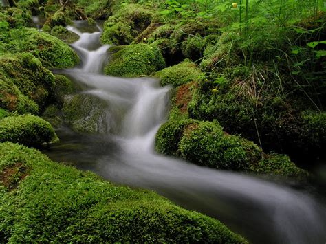 【潺潺流水摄影图片】瑞典生态摄影_阳光与雪_太平洋电脑网摄影部落