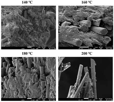 Carbon Fiber-Reinforced Polyamide 6 Composites Formed by In Situ ...