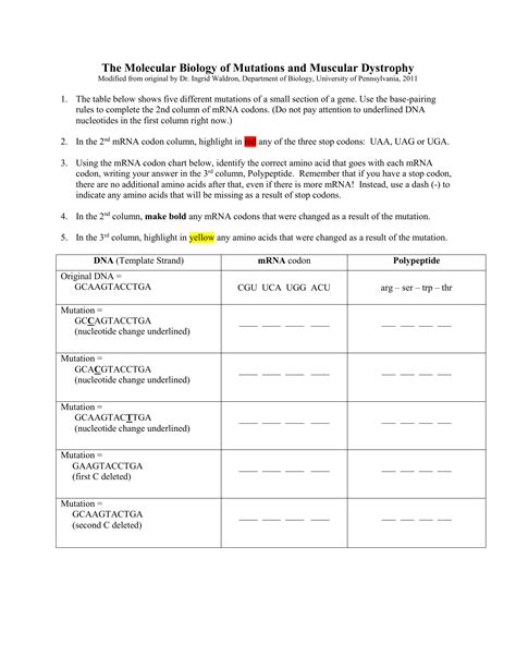 Image result for DNA Simulation Worksheet