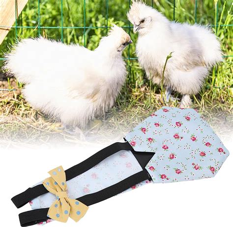 Buy plplaaoo Chicken Diapers,Pet Chicken Diapers,Duck Diapers for Real ...