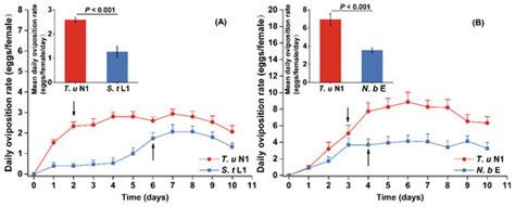 Intraguild Prey Served as Alternative Prey for Intraguild Predators in ...
