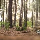 Top 10 Exercises for Cerebellar Ataxia Patients | Blog by CB ...