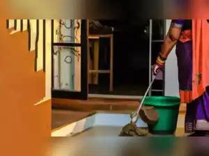 union budget: Budget 2024: Domestic staff may get minimum wage, pension ...