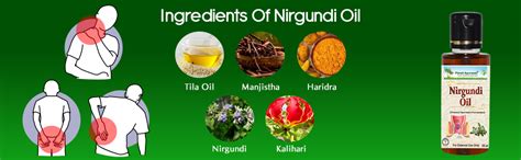 Buy Planet Ayurveda Nirgundi Oil (Vitex negundo) - 100 ml Online at Low ...