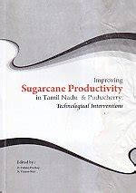 Improving sugarcane productivity in Tamil Nadu & Puducherry ...