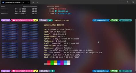 Custom Windows Terminal 的图像结果