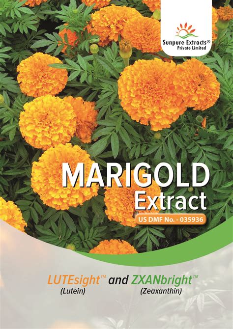 Brochures – Sunpure Extracts Pvt Ltd
