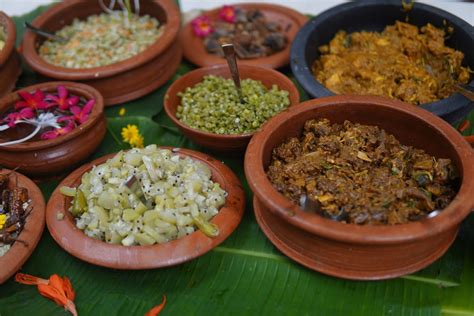 This homestay in Kerala is for slow living in a rewilded tropical ...