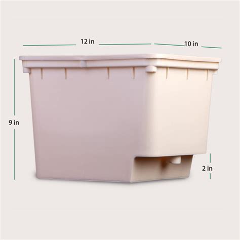 Dutch Bato Bucket, Beige - Pack of 5 – FreshLeaves Agro Solutions