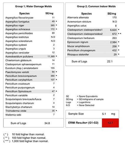 Image result for Ermi Testing vs Air Sampling Dust