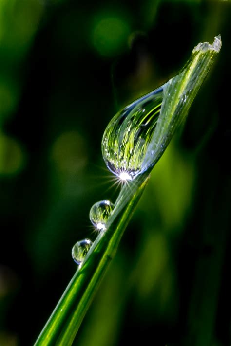 Image result for Light Color Photography