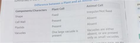 write down the difference between plant cell and animal cell? - Brainly.in
