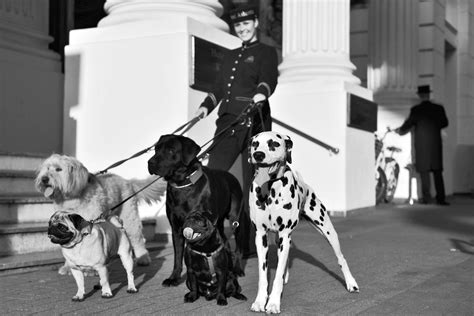 TN Hotel & Media Consulting I the most beautiful hotels in europe