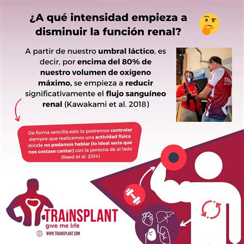 Causas De Creatinina Alta Creatinina: O Que Significa E Qual Exame