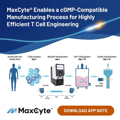 MaxCyte | Best-in-Class Electroporation Systems | MaxCyte, Inc.