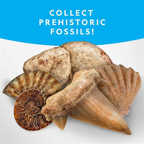 Buy NATIONAL GEOGRAPHIC Rocks & Fossils Kit – 200+ Piece Set Includes ...