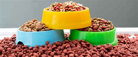 Dogs Taste Testing Food 的图像结果