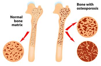 Health Checkup Packages | View All Categories