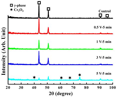 Anodized Biomedical Stainless-Steel Mini-Implant for Rapid Recovery in ...