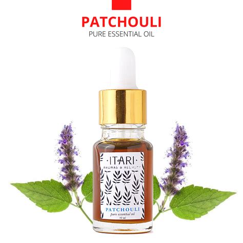 Pure Patchouli Essential Oil – Itari Botanicals
