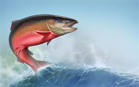 The salmon of knowledge • Go-to-Ireland.com